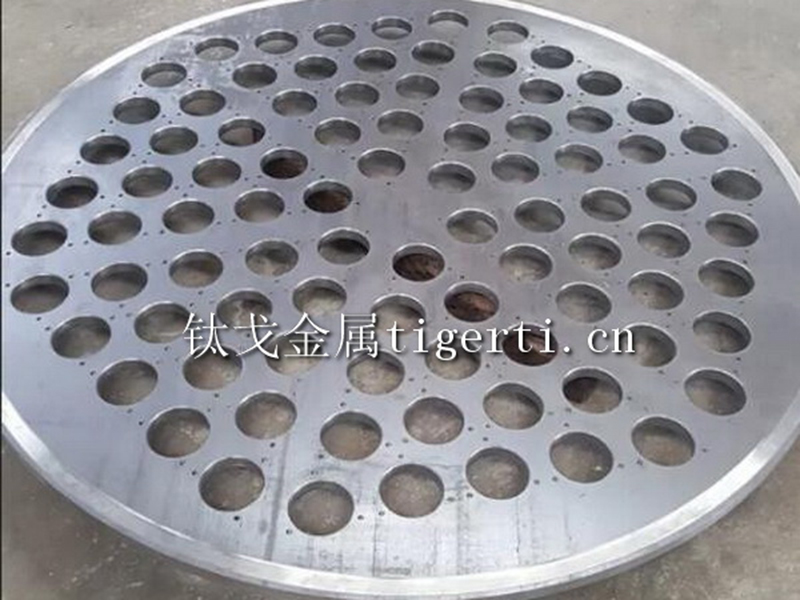 過(guò)濾器花板